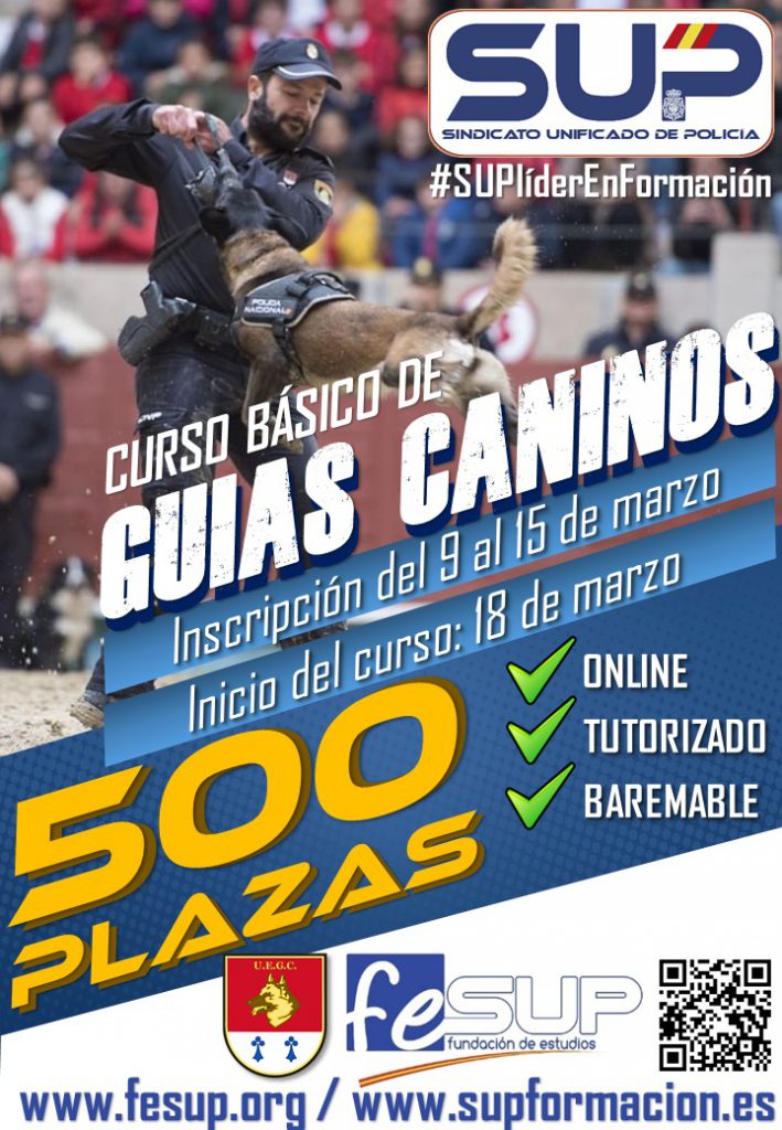 Curso On Line Gu As Caninos Plazas Gratuitas Formaci N Sup