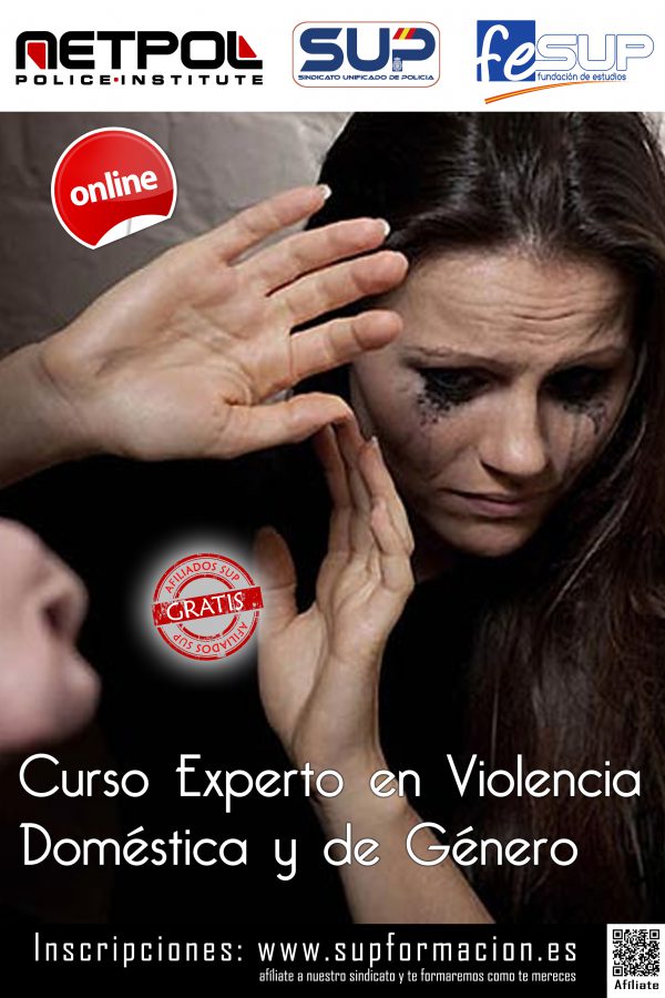 Curso De Experto En Violencia Doméstica Y De Género 450 Plazas